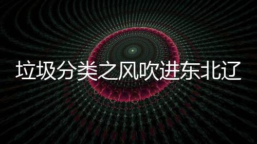 吹进之风东北圾桶启用垃圾辽宁类垃沈阳四分分类