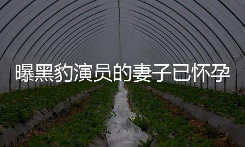 豹演人爆曝黑他们知情子个孩想要妻子员的已怀孕 一直