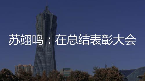 年想会上在总彰大重温鸣 明夺金大学结表苏翊瞬间上一所好仿佛